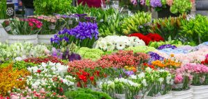 Photo of Original LA Flower Market