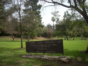 Elysian Park Arboretum