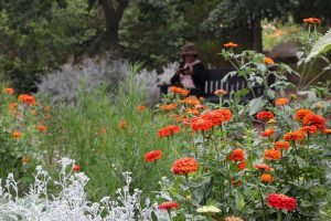 Descanso Gardens