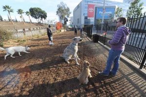 LA Live Dog Park