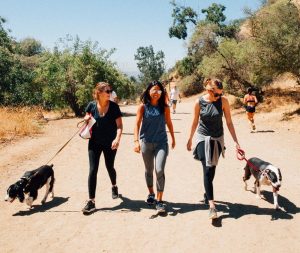 Original Dog Rescue Hike