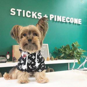 Sticks and Pinecone