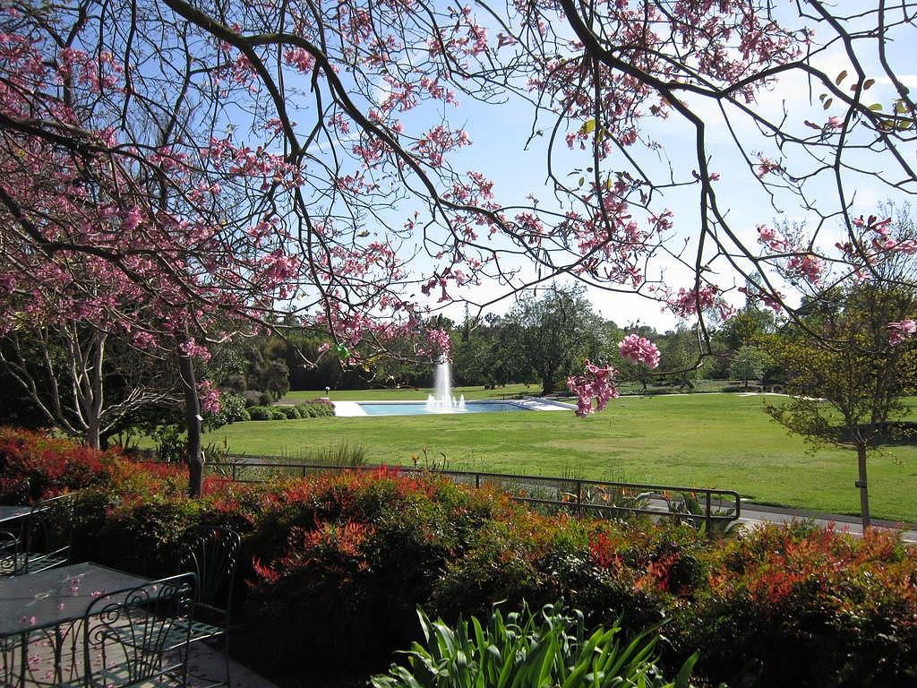 LA Arboretum near Circa apartments in downtown Los Angeles