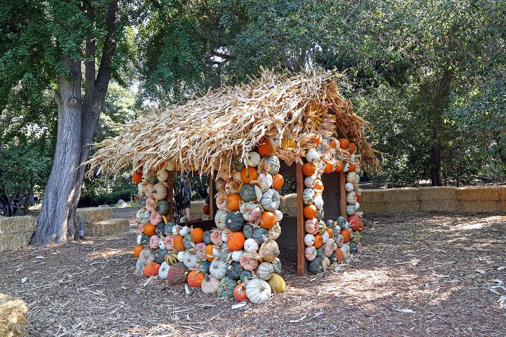 Pumpkin House at Descanso Gardens near Circa apartments in Downtown Los Angeles