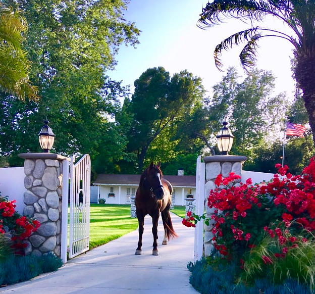 Los Angeles Equestrian Center near Circa apartments in Downtown Los Angeles