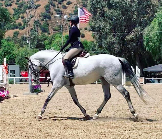 The Paddock Riding Club near Circa apartments in Downtown Los Angeles