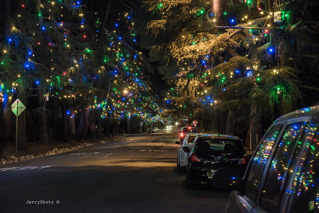 Christmas Tree Lane holiday lights near Circa apartments in Downtown Los Angeles