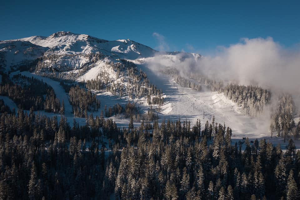 Mammoth Mountain Ski Resort - Circa apartments in Downtown Los Angeles