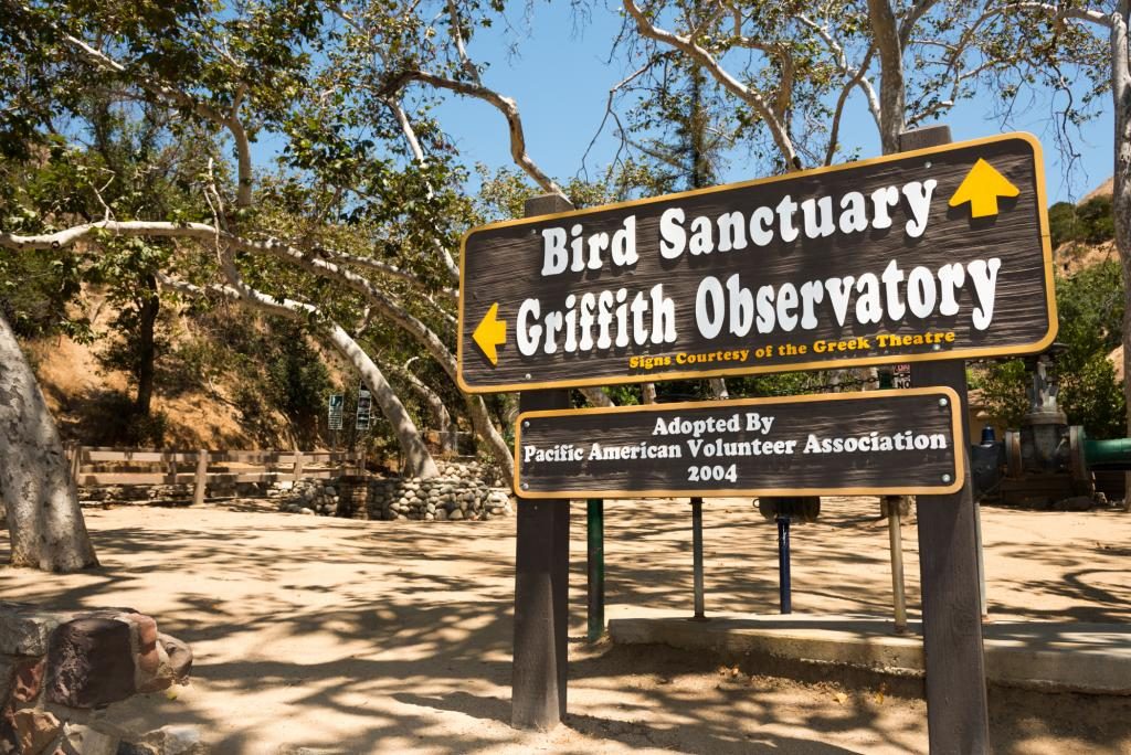 Griffith Park Bird Sanctuary near Circa apartments in Downtown Los Angeles
