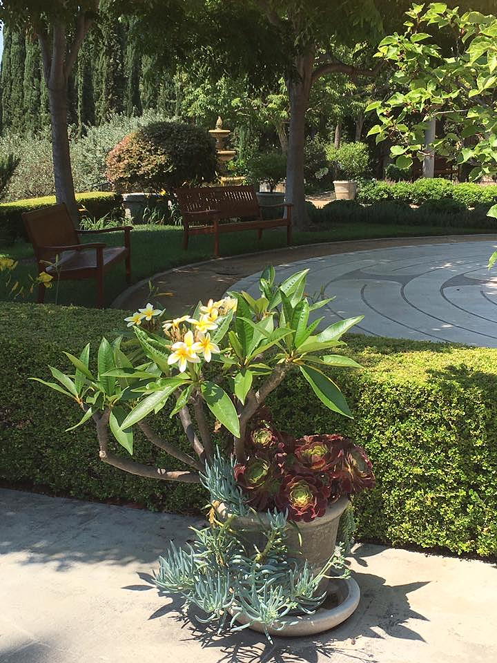 Peace Awareness Labyrinth & Gardens near Circa apartments in Downtown Los Angeles