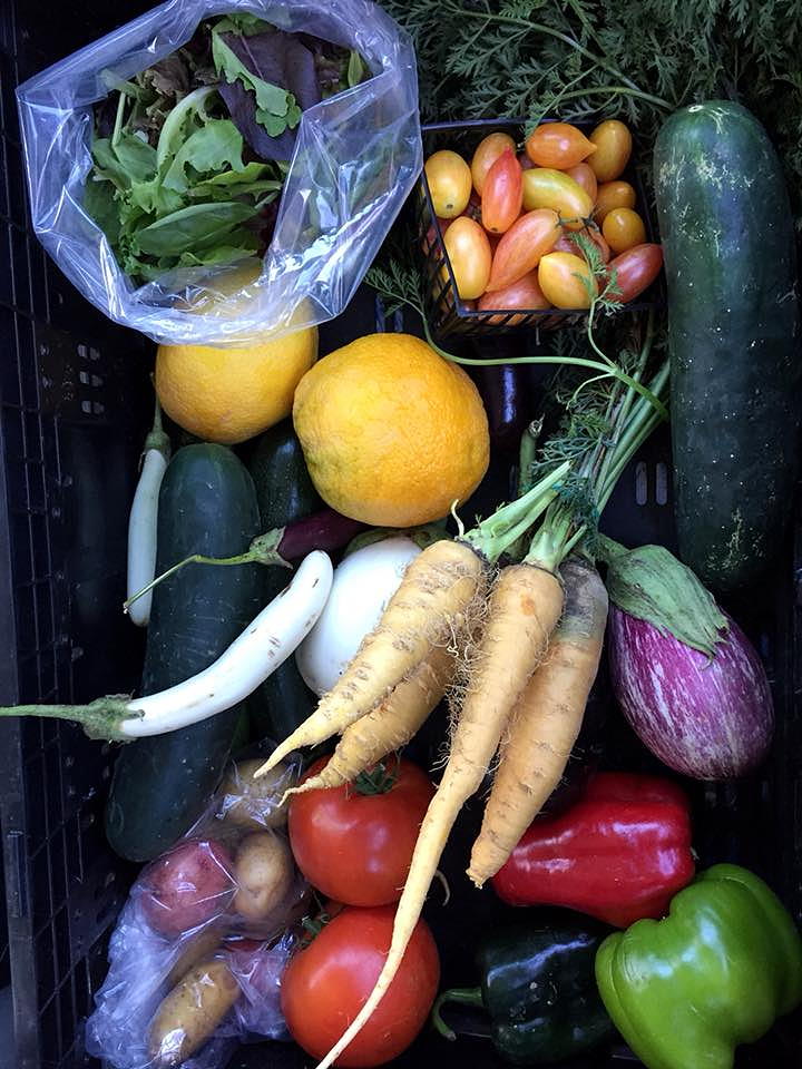 The Wall Farmers Market produce near Circa apartments in Downtown Los Angeles