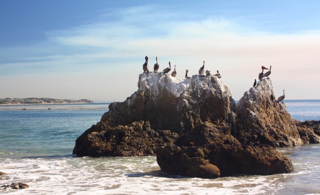 El Matador State Beach near Circa residences in Downtown Los Angeles