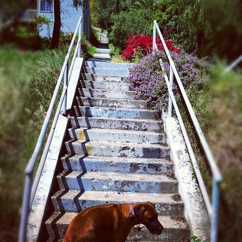 Corralitas Rail Path outdoor adventures near Circa residences in downtown Los Angeles