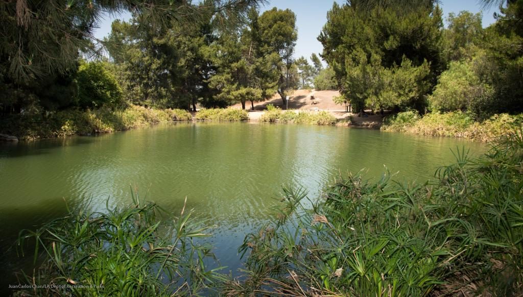 Earnest E. Debs Regional Park outdoor adventures near Circa residences in downtown Los Angeles