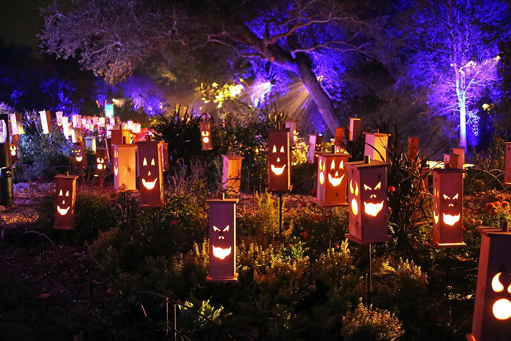 Carved Descanso Gardens Halloween near Circa apartments in downtown Los Angeles