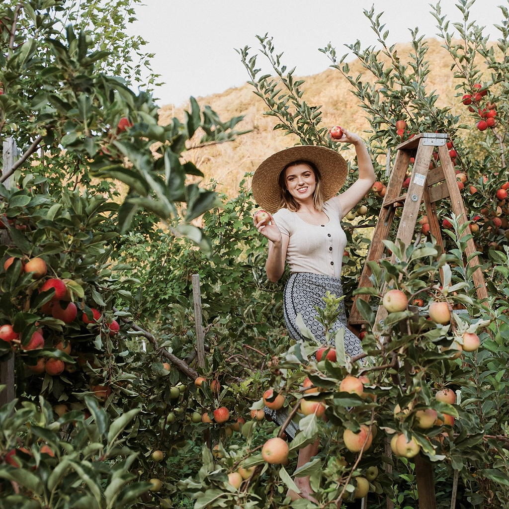 Stone Soup Farm & Heritage Orchard fall colors near Circa apartments in Downtown Los Angeles