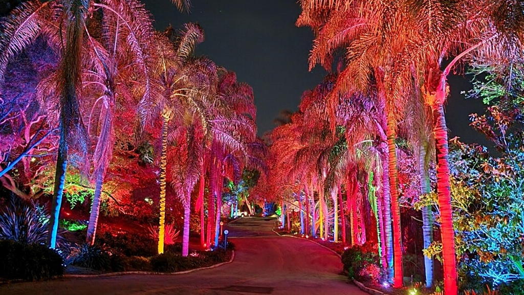 GLOW holiday lights near Circa apartments in Downtown Los Angeles