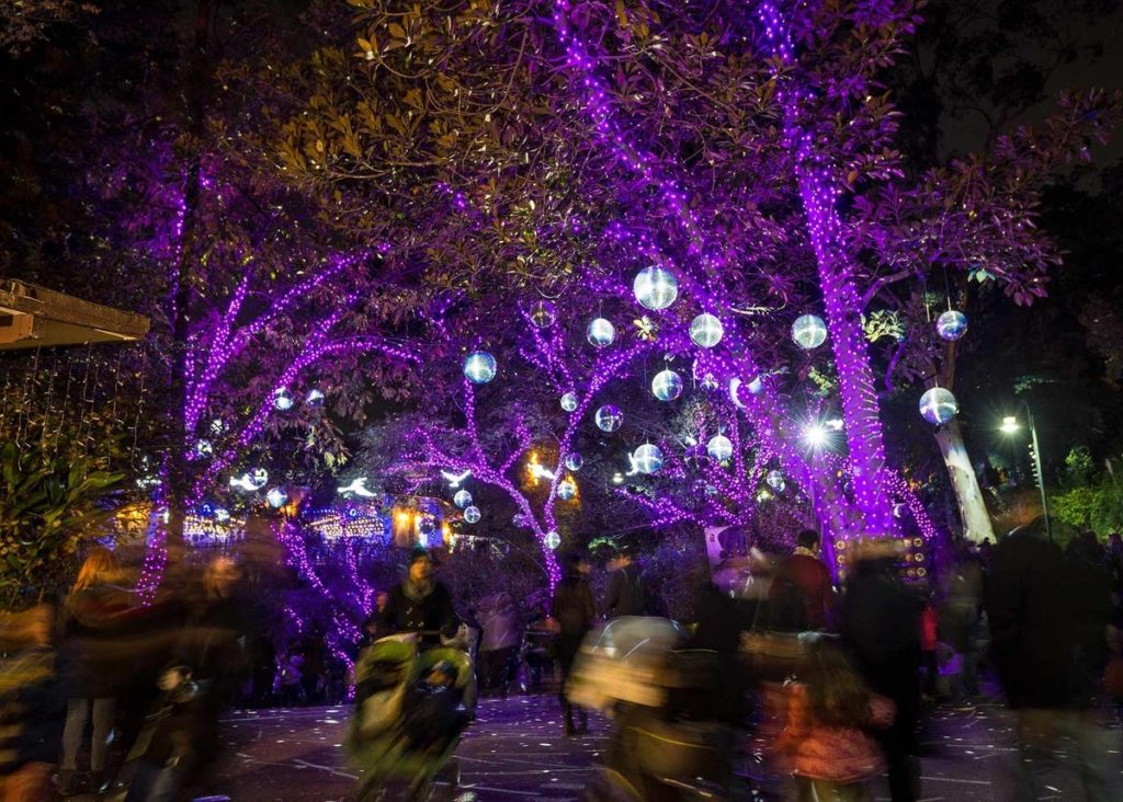 L.A. Zoo Lights holiday lights near Circa apartments in Downtown Los Angeles