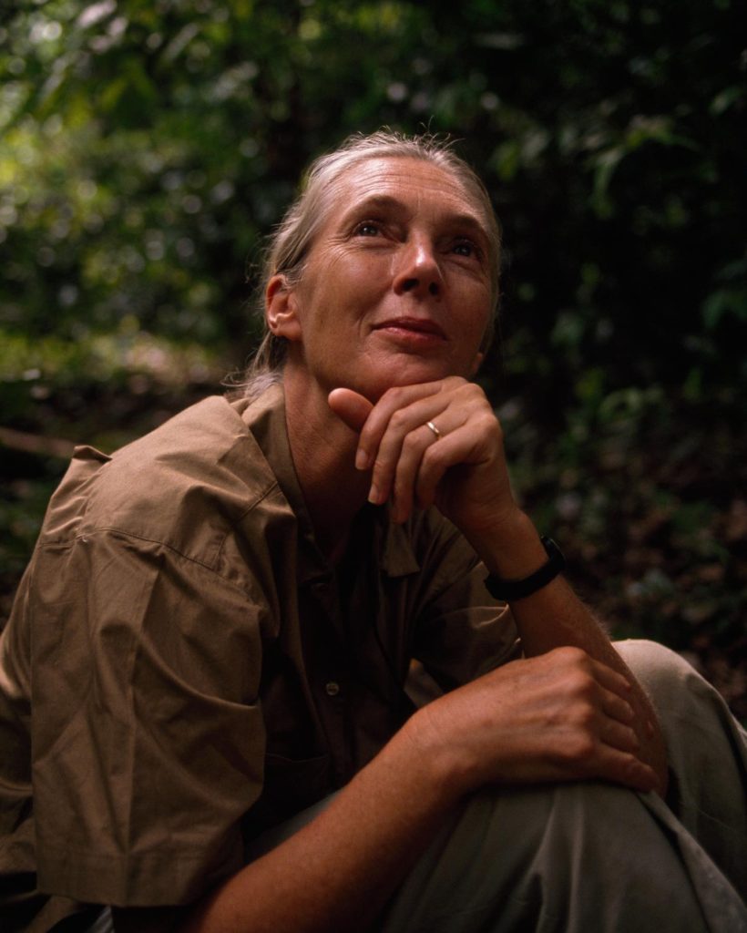 Jane Goodall exhibition near Circa residences in Downtown Los Angeles
