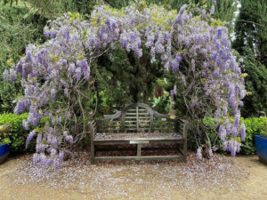 Arlington Garden near Circa residences in Downtown Los Angeles