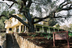 Will Rogers State Historic Park near Circa residences in Downtown Los Angeles