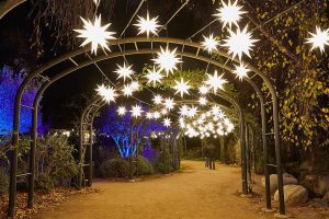 Enchanted Forest of Light at Descanso Gardens holidays near Circa residences in Downtown Los Angeles