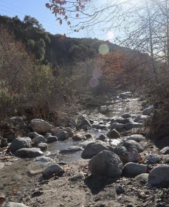 Eaton Canyon waterfall hike near Circa residences in Downtown Los Angeles