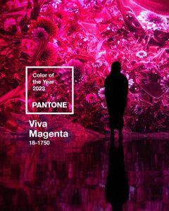 Viva Magenta Pantone Color of the Year 2023