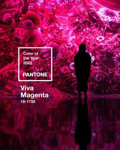 How the Pantone Colour of the Year, Viva Magenta, can Impact Retail  Businesses - Retail Focus - Retail Design