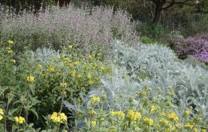 Pollinator Meadow at Natural History Museum of Los Angeles County near Circa residences in downtown Los Angeles
