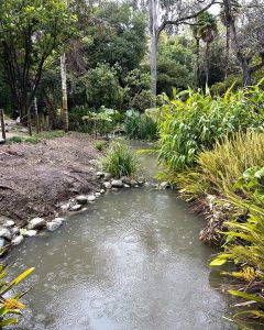 UCLA Mildred E. Mathias Botanical Garden in Los Angeles, CA