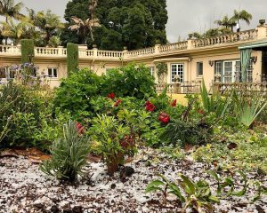 Virginia Robinson Gardens in Beverly Hills, CA