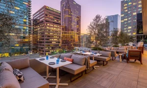 Rooftop at Wayfarer DTLA brunch near Circa residences in downtown Los Angeles