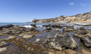 Abalone Cove Tide Pools beach near Circa residences in downtown Los Angeles 