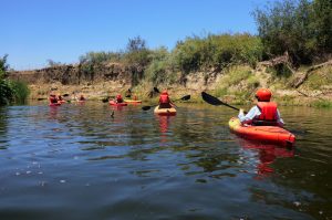 
L.A River Expeditions near Circa residences in downtown Los Angeles 