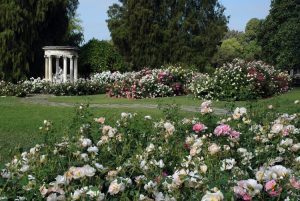 
The Huntington Botanical Gardens near Circa residences in downtown Los Angeles 