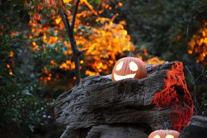 Carved Descanso Gardens Halloween fun near Circa residences in downtown Los Angeles 