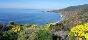 Nicholas Canyon Beach not far from Circa residences in downtown Los Angeles