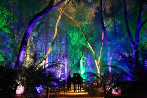 Enchanted Forest of Light at Descanso Gardens holiday celebration near Circa residences in downtown Los Angeles 