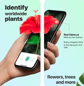 PictureThis plant identifier app