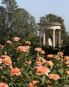 The Huntington spring blooms near Circa residences in downtown Los Angeles