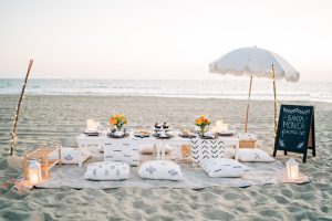 Santa Monica Picnic Company curated picnics near Circa residences in Downtown Los Angeles