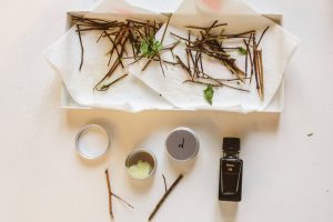 The Institute for Art and Olfaction near Circa residences in Downtown Los Angeles  
