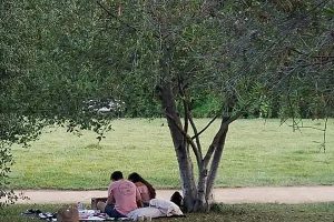 Vista Hermosa Natural Park near Circa residences in Downtown Los Angeles