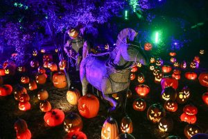 Carved at Descanso Gardens Halloween event in La Cañada Flintridge