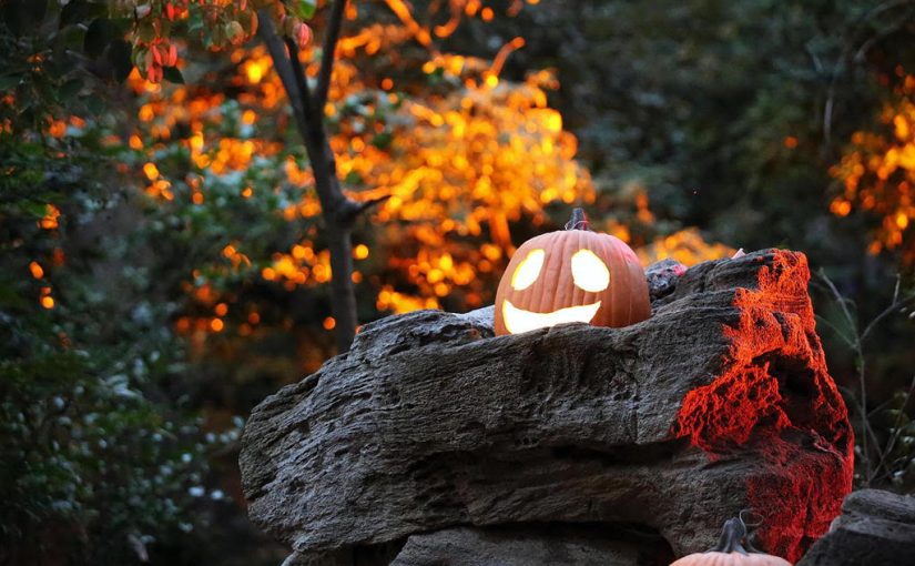 Circa’s Haunted Harvest of Halloween Happenings 